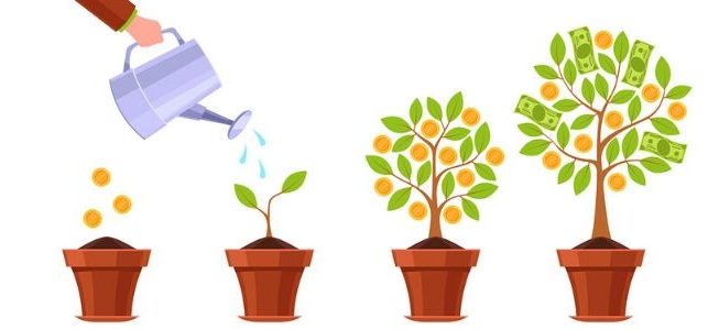 Blog-Headers-2-1-653x300-1